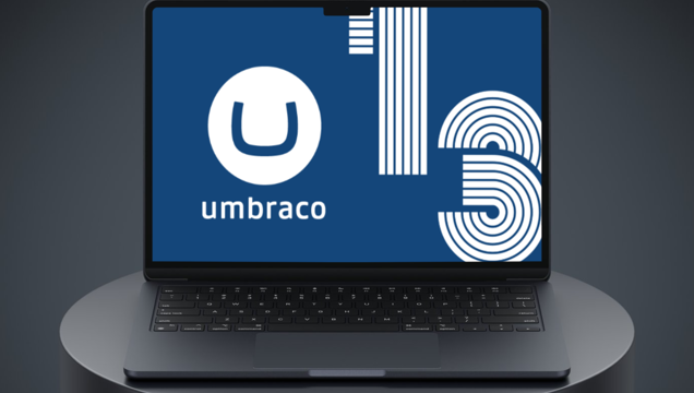 Umbraco 13